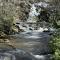 Bear's Mountaintop Home with Gorgeous Lake Views chalet - Santeetlah