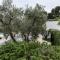 Cocotrullo with Infinity Pool