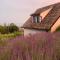 Cheerful Cottage at Balatonfelvidek Dörgicse - Mencshely