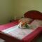 VILLA LINEDDY/ZINNIA