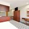 Microtel Inn & Suites by Wyndham Detroit Roseville