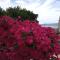 Apartman Hibiskus