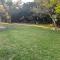 Live Oak Home