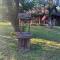 Live Oak Home