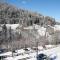 Monami Apartments Klosters, Apt. Solavers No 1
