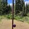 Denali Natl Park 3 Bedroom Home on 5 Acres, hiking and wildlife