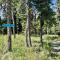 Denali Natl Park 3 Bedroom Home on 5 Acres, hiking and wildlife