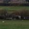 The Cotswold Farm Hideaway - Alderley