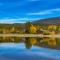 Tree-Lined Views #8 - تاهو سيتي