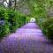 Malvern Manor Country Guest House