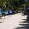 birdwatchers beachfront hotel panglao