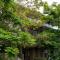 Kandy Tree Tops