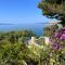 Luxury Seaside Villa with a classic Mediterranean Olive Garden, a fully equipped Professional Kitchen, Pool, Sauna, Padle Boards and Canoe - Miolin Beach House