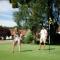 Cottages et B&B de Troussay - 谢韦尔尼