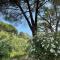 The Old Mill with Private Garden and Torrent - Portoferraio