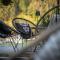 Engel 16, Boutique Hotel - Adults Only