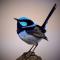 Forrest River Valley- Blue Wren Studio