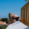 Ria Formosa Guest House - Faro