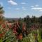 Monte Horizonte - Turismo Rural- Casas de Campo - Eco e Natureza
