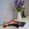 Top class apartments in Carlsbad Bulharska street - Karlovy Vary