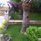 Villa besides the sea - 3 bedrooms