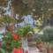 Antonina Hotel