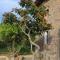 Sa Riba, Country house in Mallorca