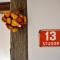 Rustic House 13