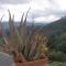 Bed & Breakfast Ca di Vissai