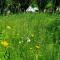 Route 47 Glamping Bell Tents