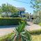 Apartment Roko (10m from the beach)