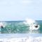 Puu Poa Ocean Bluff Condo, Incredible Views, Walk to Beaches, Pool & Tennis