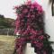 Mojacar Home with mountain views - Mojácar