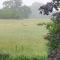 The Old Barn Annexe, cosy stay, close drive to city, beach, South Downs & Goodwood
