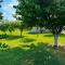 Apartment Helena Airport - Podgorica