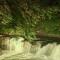 Canyon garden martvili