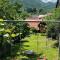 Casa veche “Old house”