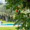 ClickSardegna Villa Angelica con piscina e giardino