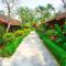 Golden Pine Resort and Spa