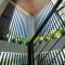 Gloria Tree Mayon and Park View Residences - 黎牙实比