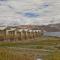 Pangong Retreat Camp