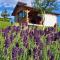 Apartma Relax