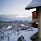 Vineyard cottage Na hribu