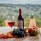Vineyard cottage Na hribu