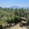 Farm seaview on Capri