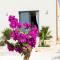 Kartika Charming House