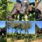 Caban Croeso-The Welcome Cabin, Holiday let, near Mansion House Llansteffan
