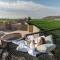 Paradero Todos Santos - Exclusive experiences included