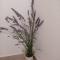 Apartman Branko with free parking place