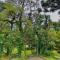 Natur Hotel - 700m da Rua Coberta